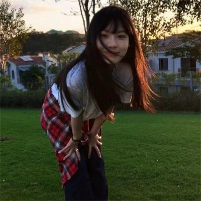 暴风雪中的白鸟